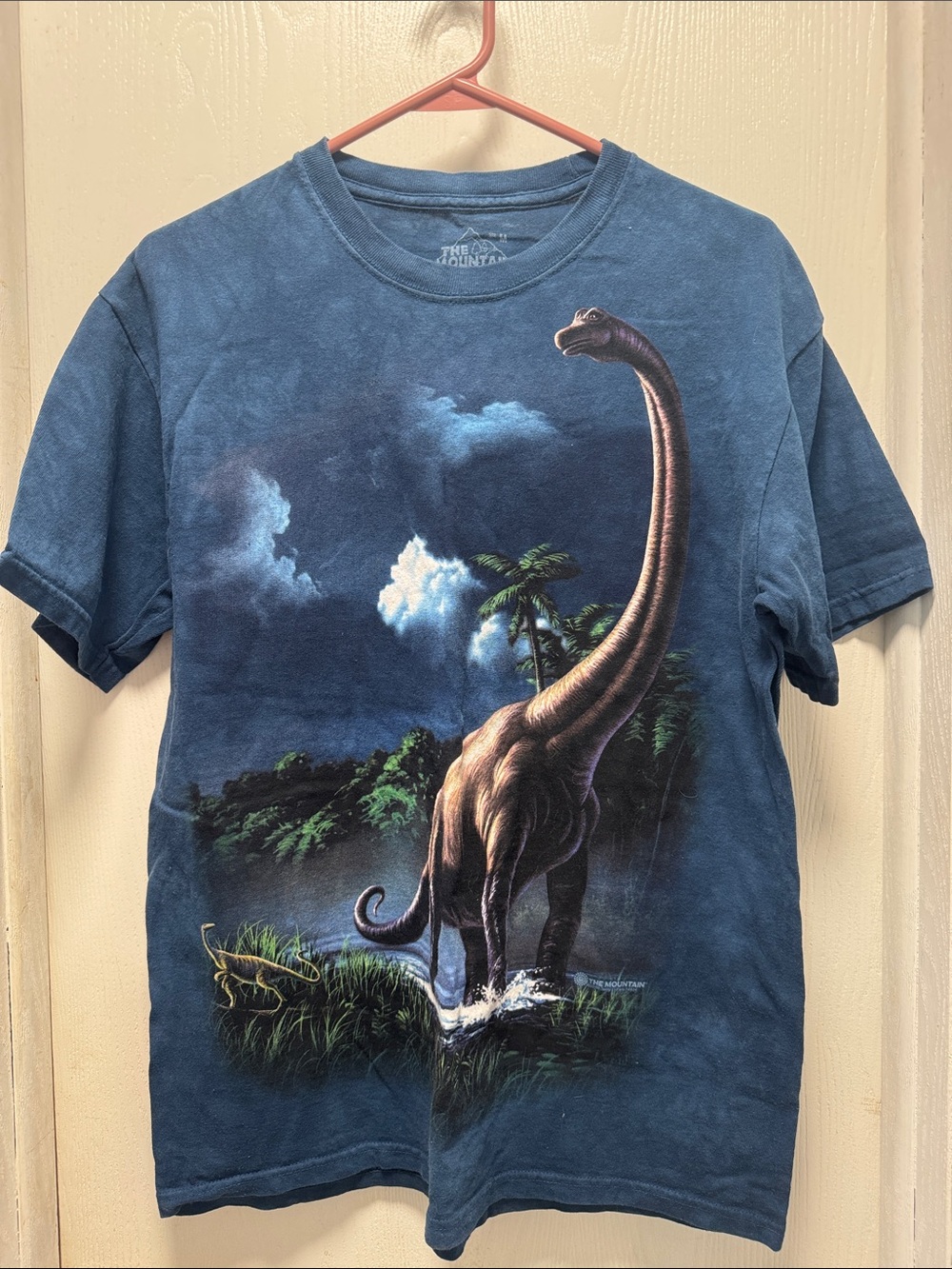 The Mountain Blue Boys' Brachiosaurus Graphic Tee